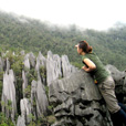 4D3N Mulu Caves + Pinnacles