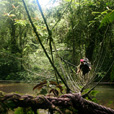 4D3N Mulu Caves + Headhunter Trails