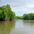 Kinabatangan River
