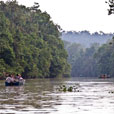 2 Days 1 Night Kinabatangan River