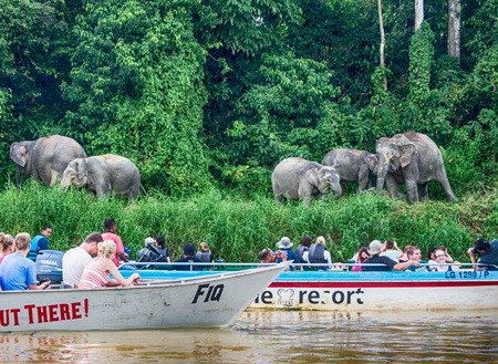 2D1N Selingan Turtle Island & Sepilok Orang Utan