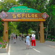 3D2N Sandakan Historical + Wildlife Tour