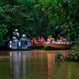 5D4N Sandakan Historical + Wildlife Tour + Selingan Island