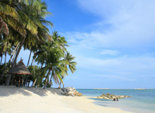 Mabul + Kapalai Day Trip