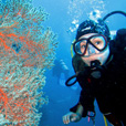 Semporna Discover Scuba Diving (For Non-Cert Diver)