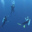 Semporna Fun Diving (For Cert Diver)