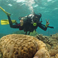 Semporna Fun Diving (For Cert Diver)